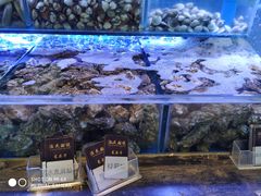 -渔民船说·北塘海鲜·天津菜·海肠捞饭(北塘古镇店)