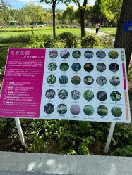 -大望京儿童游乐场