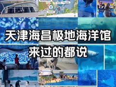 -海合安天津极地海洋公园