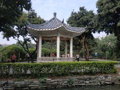 -杨桃公园