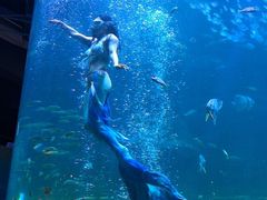 -太平洋海底世界