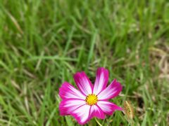 -白鹭湾湿地公园