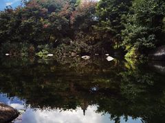 -崇圣寺三塔文化旅游区