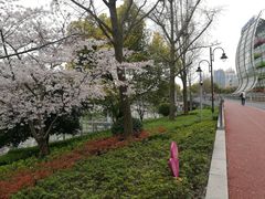 -北外滩滨江绿地