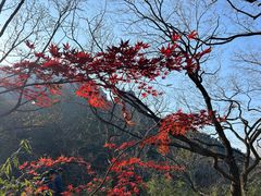 -崂山九水游览区
