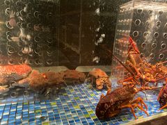 水产区-新荣记(南京西路店)