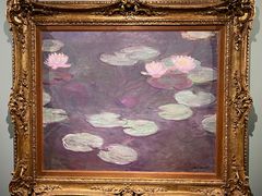 -遇见博物馆(遇见海洋沉浸式奇幻光影展)