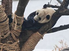 -无锡动物园·太湖欢乐园