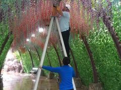 -郑州方特水上乐园