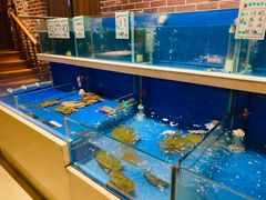 水产区-姜君·千岛湖鱼头馆(浦东大道店)