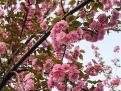 -西北湖绿化广场