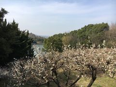 -白马涧龙池景区