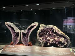 -正佳自然科学博物馆