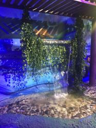 -酷嗒动物文化乐园(cutezoo西溪乐天城店)