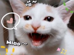 -美联众合爱康动物医院•复杂内科•肿瘤科•牙科•腔镜诊疗中心