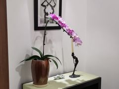 -Isofit 普拉提·婵柔工作室