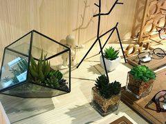 -Trend1881视光·蔡司视觉(领展广场店)