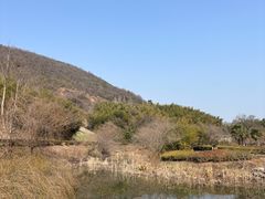 -金钉子远古世界景区