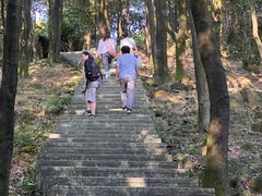-火炉山森林公园
