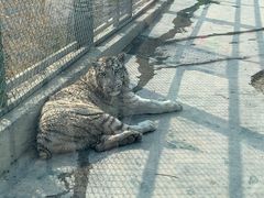 -五龙山野生动物王国