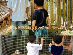 -金宝幼儿园(通州校区)