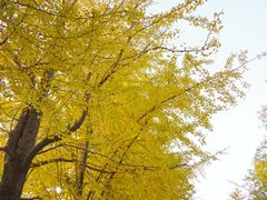 -辽宁大学(崇山校区)