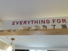 -喵园·猫主题咖啡厅·撸猫·猫咖(国贸店)