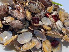 -船歌·鱼水饺青岛菜(金狮广场店)