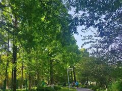 -西湖外事游船(花港观鱼码头)