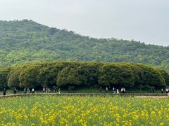 -八卦田遗址公园