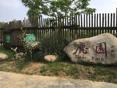 -泗洪洪泽湖湿地景区