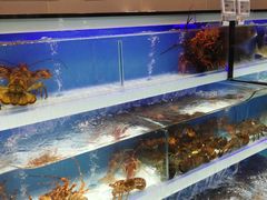 -盒马鲜生(顺义店)