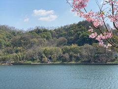 -云碧峰国家森林公园