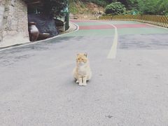 -远山有窑