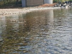 -楠溪江风景名胜区