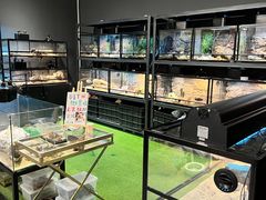 -FAIRYLAND龙族星球主题餐厅(凯丹广场店)