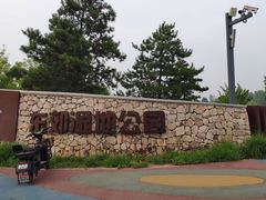 -东郊湿地公园