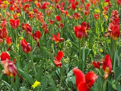 -长春公园(普阳街道)