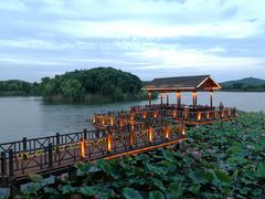 -上海市保健医疗中心(华东疗养院)