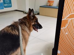 -美联众合动物医院·24h京西诊疗中心