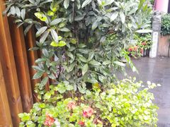 -泸州唯逸酒店(大山坪警察学院店)