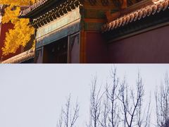 -故宫博物院(故宫)