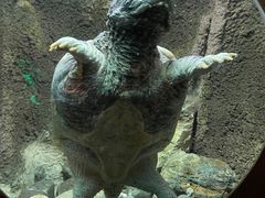 -太平洋海底世界