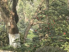 -浙江大学(之江校区)