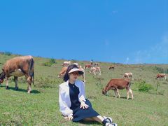 -大姆山草场
