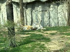 -北京野生动物园