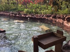 -苏州湾王焰温泉度假酒店