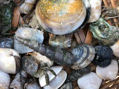 -北海金海湾红树林生态旅游区