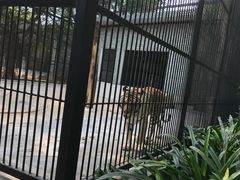 -广东茂名森林公园