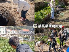 -军营村